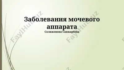 заболевания мочевого аппарата — PPTX