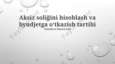 aksiz soliğini hisoblash va byudjetga oʻtkazish tartibi — PPTX