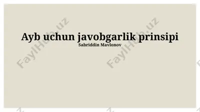 ayb uchun javobgarlik prinsipi — PPTX