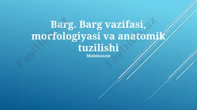 barg — PPTX