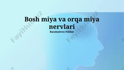 bosh miya va orqa miya nervlari — PPTX