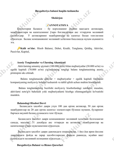 buxgalteriya balansi — DOCX
