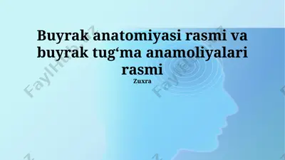 buyrak anatomiyasi rasmi va buyrak tugʻma anamoliyalari rasmi — PPTX