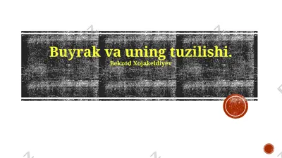 buyrak va uning tuzilishi — PPTX