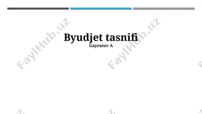 byudjet tasnifi — PPTX