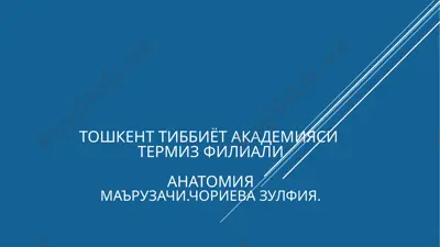 тошкенттиббиёт академияси термиз филиали - анатомия маърузачи. чориева зулфия — PPTX