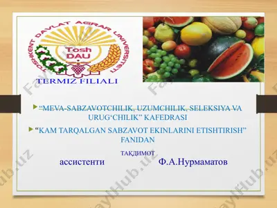 "kam tarqalgan sabzavot ekinlarini etishtirish" fanidan taqdimot — PPTX