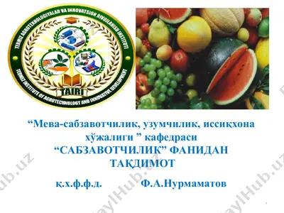 картошканинг аҳамияти, биологияси, навлари ва етиштириш технологияси — PPT