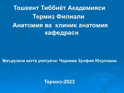 тошкент тиббиёт академияси термиз филиали — PPTX