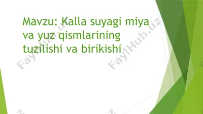kallasuyagi miyaqutisi va yuzqismi — PPTX