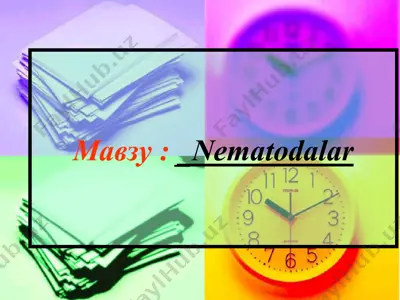 nematodalar — PPTX