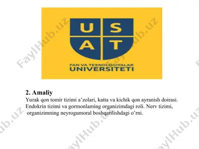 yurak qon tomir tizimi — PPT