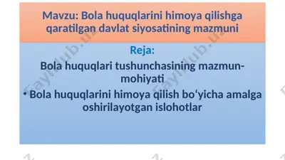 bola huquqlarini himoya qilishga qaratilgan davlat siyosati — PPT