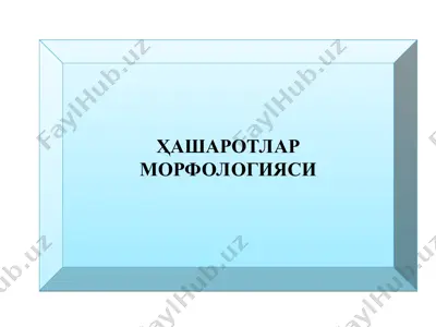 ҳашаротлар морфологияси — PPT