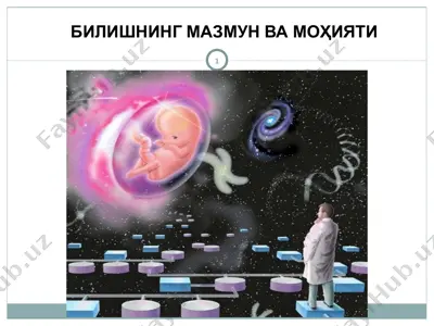 гносеология — PPT