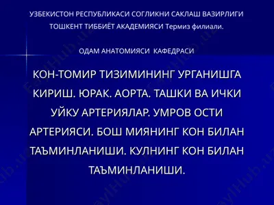 qon tomirlar tizimi — PPT