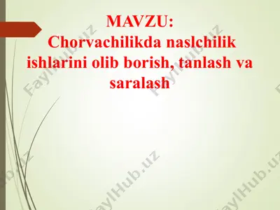 chorvachilikda naslchilik ishlarini olib borish, tanlash va saralash — PPT