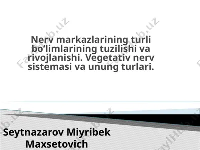 nervmarkazlarining tu’rlibo‘limlari va uning tuzilishi — PPTX