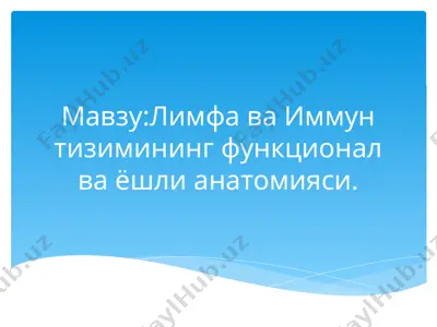 limfa va immun tizimininig funksional va yoshli anatomiysi — PPTX