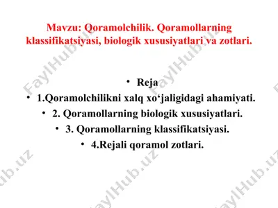 qoramolchilik — PPT
