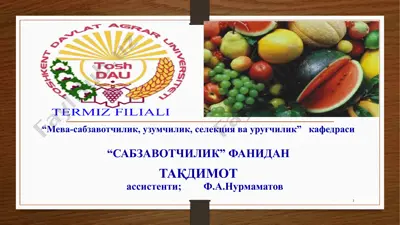bodrining vasabzavot qovoqchalari biologiyasi va etishtirish tekhnologiyasi — PPTX