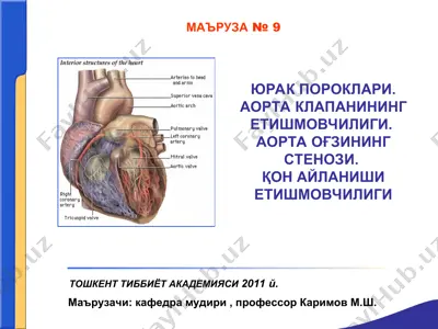 юрак пороклари. аорта клапанининг етишмовчилиги.аорта оғзининг стенози.қон айланиши етишмовчилиги — PPT