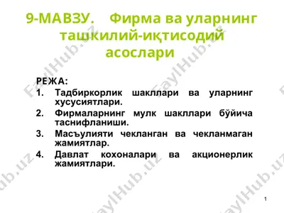 firma va ularning tashkiliy-iqtisodiy asoslari — PPT