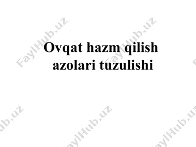 ovqat hazm qilish — PPT