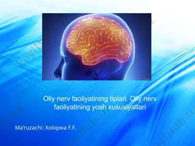 oliy nerv faoliyatining tiplari. oliy nerv faoliyatining yosh xususiyatlari — PPTX