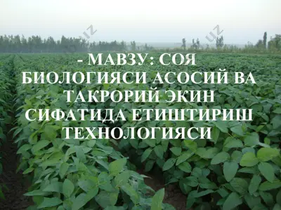 soya biologiyasi asosiy va takroriy ekkin sifatida etishtirish texnologiyasi — PPT