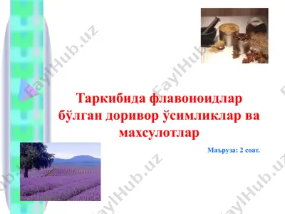 флавоноидларбўлган доривор ўсимликлар ва махсулотлар — PPT