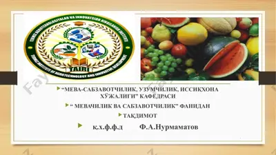қовоқдош сабзавотлар биологияси ва етиштириш технологияси — PPTX