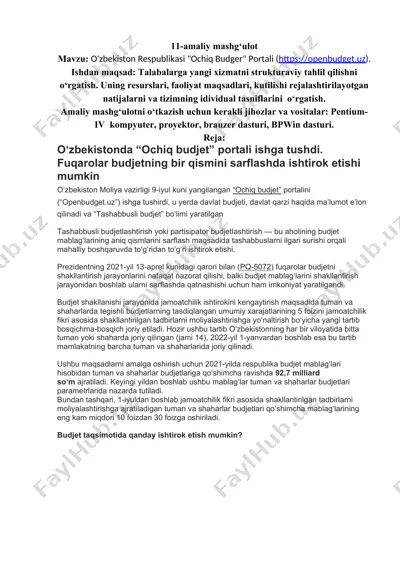 "ochiq budjet portalining tavsifi" — DOCX