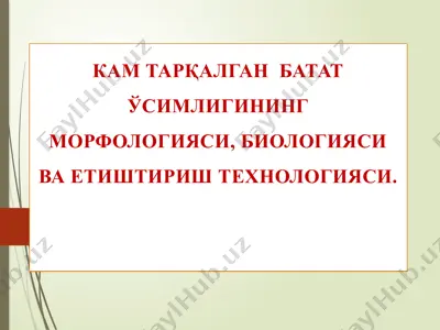 batat — PPTX