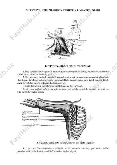 palpatsiya utkaziladigan periferik limfa tugunlari — DOC