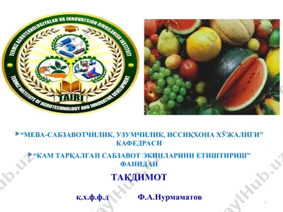 kam tarqalgan sabzavot ekinlarining botanik oilasi, kelib chiqishi va tarqalish hududlari — PPT