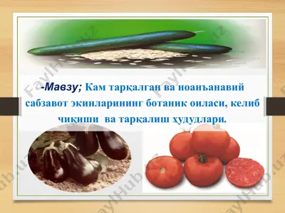kam tarqalgan va noan'anaviy sabzavot ekinlarining botanik oilasi — PPT