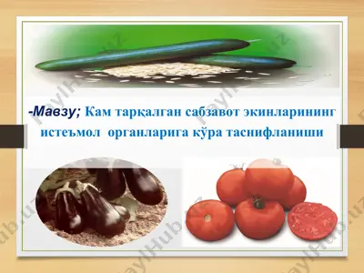 sabzavot ekinlari va ularning istemol organlariga ko'ra tasniflanishi — PPT