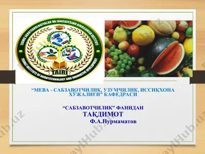 "сабзавотчилик фанидан тақдимот" — PPT