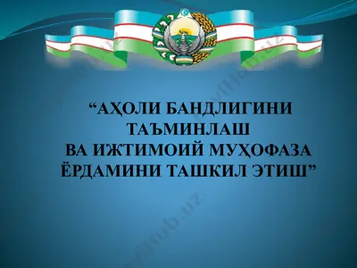 аҳоли бандлигини таъминлаш ва ижтимоий муҳофаза ёрдамини ташкил этиш — PPT