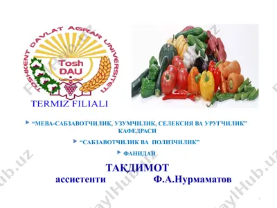 kўkаt, dukkаklаr vа kаm tаrqаlgаn sаbzаvоtlаr eki nаsim — PPTX