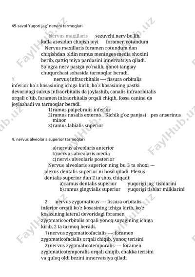 fiziologiya — DOCX