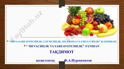 meva-sabzavotchilik, uzumchilik, seleksiya va urug‘chilik kafedrasi taqdimoti — PPTX