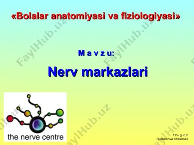 bolalar anatomiyasi va fiziologiyasi — PPT