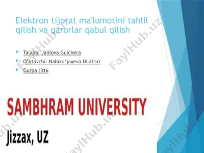 elektrontijorat ma'lumotini tahlil qilish va qarorlar qabul qilish — PPTX