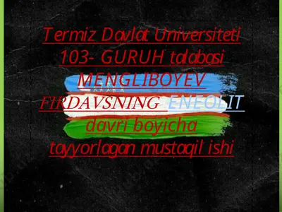 termiz davlat universiteti 103-guruh talabasi mengliboyev firdavsning eneolit davri bo'yicha tayyorlagan mustaqil ishi — PPTX