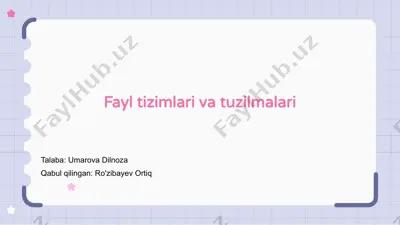fayl tizimlari va tuzilmalari — PPTX