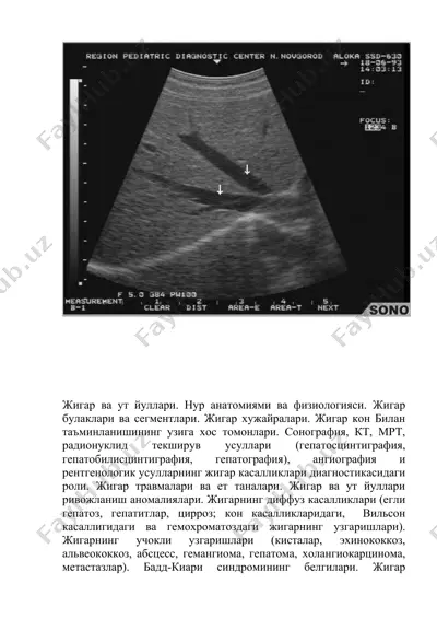 жигар ва ут йуллари. нур анатомиями ва физиологияси. — DOC