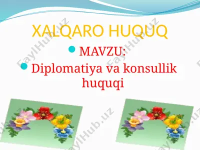 diplomatiya va konsullik huquqi — PPTX
