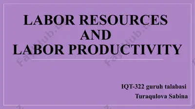 labor resources — PPTX
